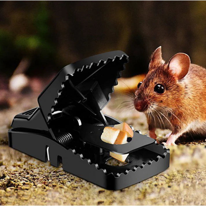 Piège à Rats Réutilisable avec Déclencheur Haute Sensibilité.